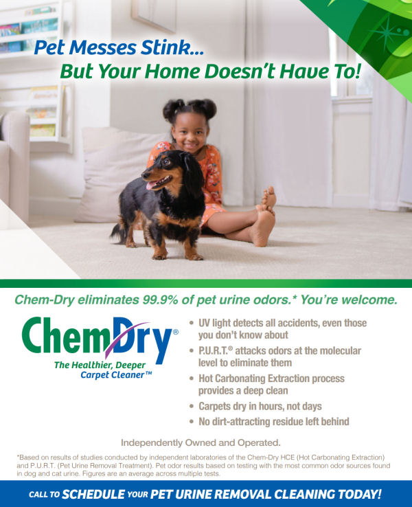 Professional Cleaning Services