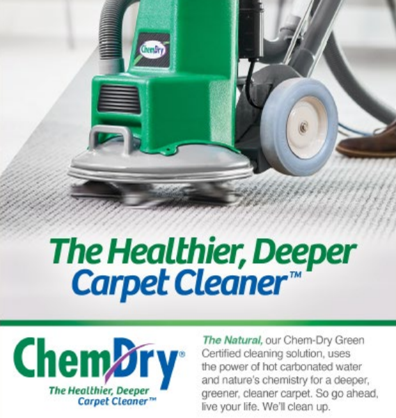 Specialised Carpet Cleaning