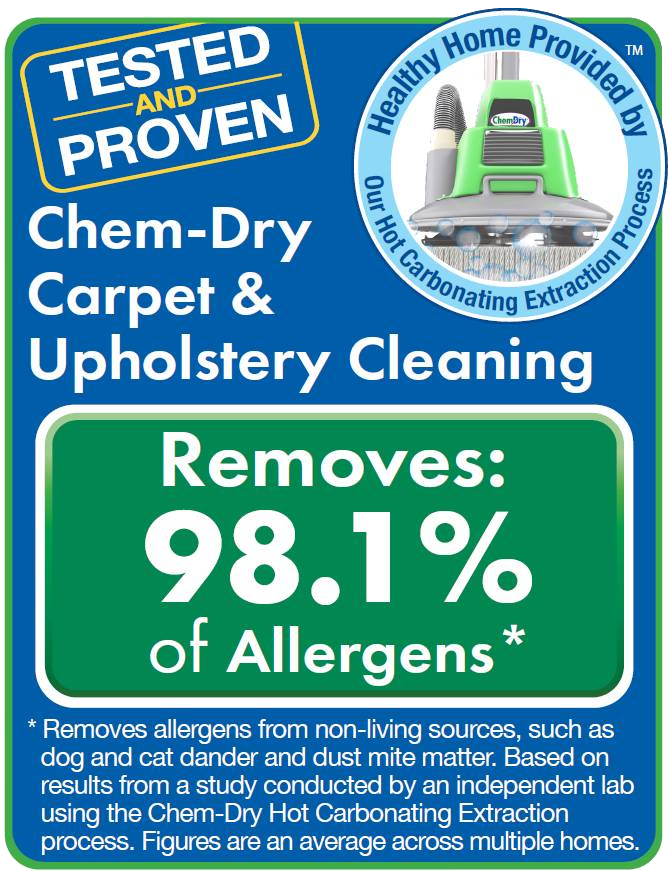 Your Dependable Carpet Cleaning Professionals